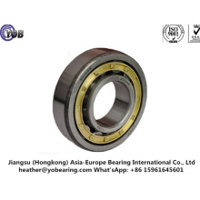 Cylindrical Roller Bearings with The Brass Cage (NJ2316M)